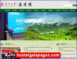 hostelgalapagos.com